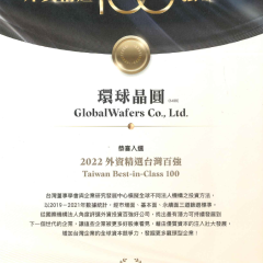 外資100強